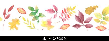 Aquarell handgezeichnete nahtlose Herbstgrenze mit gefallenen Blättern auf weißem Hintergrund. Blumendekoration an Thanksgiving. Erntetag. Feiertage Herbst scr Stockfoto