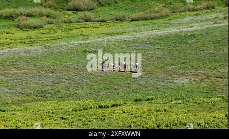 Pferdestall für Pferdeabenteuer in den Elk Mountains in Crested Butte, Colorado Stockfoto