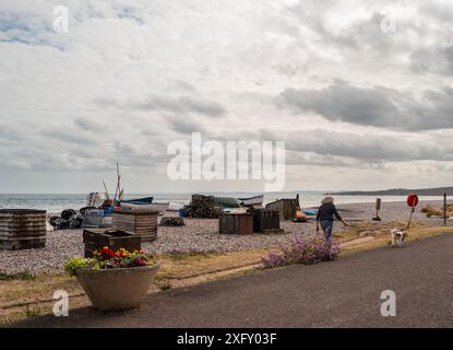 Budleigh Salterton Beach im Spätsommer. Stockfoto