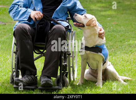 Labrador Hund und seinem behinderten Besitzer auf dem grünen Rasen. Stockfoto