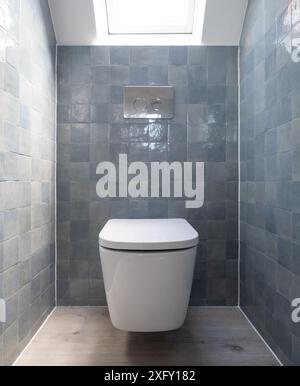 Kleine Toilette in Loft-Umbau mit cleverem Gebrauch der Traufe auf dem Dachboden. Architekt entworfen mit blauen Porzellan zellige Fliesen, weiße Wand hängende Toilette. Stockfoto