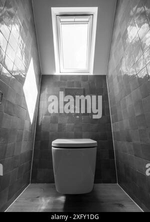 Kleine Toilette in Loft-Umbau mit cleverem Gebrauch der Traufe auf dem Dachboden. Architekt entworfen mit blauen Porzellan zellige Fliesen, weiße Wand hängende Toilette. Stockfoto