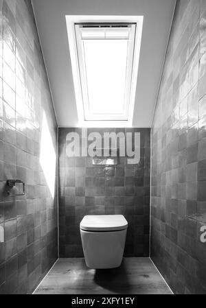 Kleine Toilette in Loft-Umbau mit cleverem Gebrauch der Traufe auf dem Dachboden. Architekt entworfen mit blauen Porzellan zellige Fliesen, weiße Wand hängende Toilette. Stockfoto