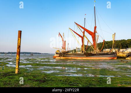 Themse Segelkähne. Die Barge der Themse wurde bei Ebbe auf Wattenmeeren bei Pin Mill am Fluss Orwell bei Ipswich, Suffolk, England, Großbritannien, verankert Stockfoto