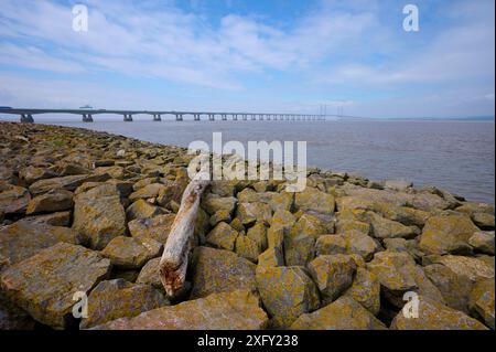 Stone, Flussufer, M4 Highway, Princ of Wales Bridge, River Severn, England, Wales, Bristol, England, Vereinigtes Königreich Stockfoto