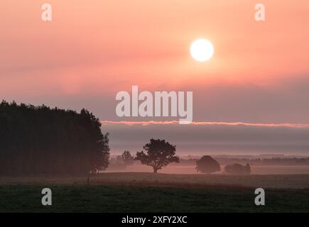 Eine wunderschöne rote Sonnenscheibe, die über dem Horizont aufgeht. Natürliche Landschaft des Sommers im ländlichen Lettland, Nordeuropa. Stockfoto