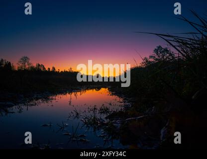 Eine wunderschöne Sonnenaufgangsspiegelung in der Wasserpfütze. Eine natürliche Sommervormittagslandschaft des ländlichen Lettlands, Nordeuropas. Stockfoto