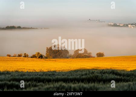 Schloss Waldeck blickt aus dem Morgennebel, im Vordergrund der Netzteil der Stadt Waldeck am Edersee. Bezirk Waldeck-Frankenberg, Hessen, Deutschland. Stockfoto