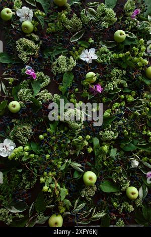 Blumenanordnung von Hibiskusblüten und Pflanzen aus dem Garten, breitblättrige Wicke, Wicken, wilde Trauben, Hopfen, stonecrop und Äpfel Stockfoto