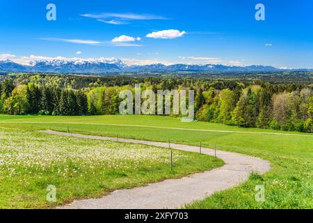 Deutschland, Bayern, Oberbayern, Tölzer Land, Dietramszell, Kreis Peretshofen, Peretshofer Höhe, Blick auf die Alpenkette Stockfoto