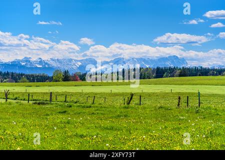 Deutschland, Bayern, Tölzer Land, Icking, Landkreis Walchstadt, Kulturlandschaft gegen das Wettersteingebirge Stockfoto