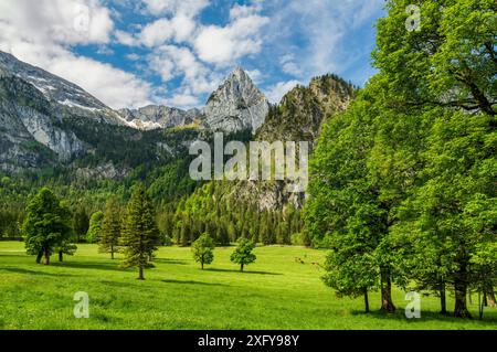 Idyllische Berglandschaft mit grünen Wiesen und Wäldern an einem sonnigen Sommertag. Blick auf den Geiselstein, die Ammergauer Alpen, Bayern, Deutschland, Europa Stockfoto