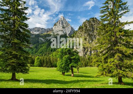 Idyllische Berglandschaft mit grünen Wiesen und Wäldern an einem sonnigen Sommertag. Blick auf den Geiselstein, die Ammergauer Alpen, Bayern, Deutschland, Europa Stockfoto