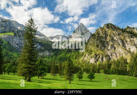 Idyllische Berglandschaft mit grünen Wiesen und Wäldern an einem sonnigen Sommertag. Blick auf den Geiselstein, die Ammergauer Alpen, Bayern, Deutschland, Europa Stockfoto