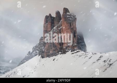 Winterlandschaft in der Tre Cime di Lavaredo unter einem Schneesturm, Auronzo di Cadore, Provinz Belluno, Veneto, Italien Stockfoto