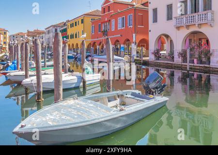 Die Kanalvene mit vertäuten Booten und vielen Möwen auf Stangen, Chioggia, Gemeinde der Metropolstadt Venedig, Veneto, Italien Stockfoto