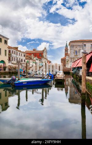 Die Kanalvene mit vertäuten Booten und vielen Möwen auf Stangen, Chioggia, Gemeinde der Metropolstadt Venedig, Veneto, Italien Stockfoto