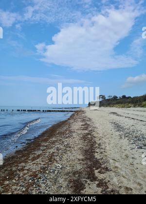 Blauer Himmel mit Wolken über den hölzernen Kühnen am Strand von Markgrafenheide an der Ostsee, Mecklenburg-Vorpommern, Deutschland Stockfoto