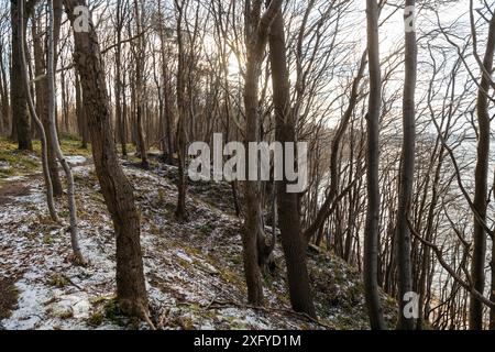 Wandern Sie im winterlichen Quelltal mit Blick auf die Ostsee Stockfoto