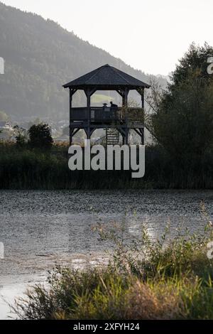 Aussichtsturm im Bleistätter Moor, Steindorfer Moorturm im Tiebel-Mündungsgebiet des Ossiachsees, Naturschutzgebiet Steindorf am Ossiacher See, Kärnten, Österreich, Europa Stockfoto