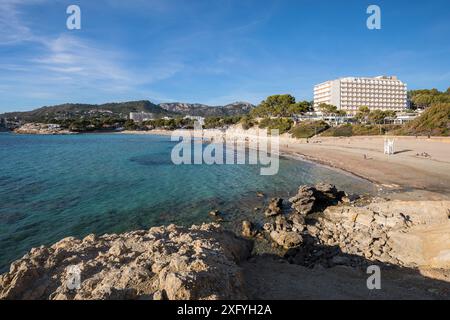 Überblick über La Romana Beach Peguera (auch Platja de la Romana oder Playa La Romana), Paguera, Mallorca, Balearen, Spanien, Europa Stockfoto