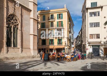 Straßencafé in Placa de la Llotja, Palma, Mallorca, Balearen, Spanien, Europa Stockfoto