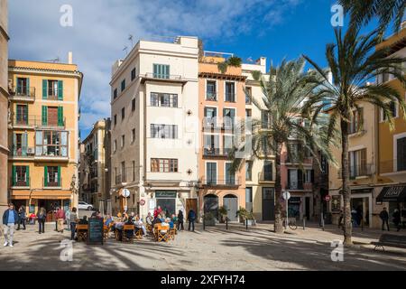 Straßencafé in Placa de la Llotja, Palma, Mallorca, Balearen, Spanien, Europa Stockfoto