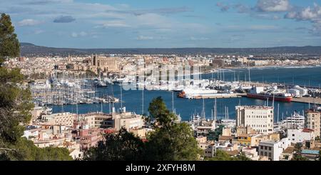 Blick über den Hafen zur Kathedrale von Palma, zur Kathedrale St. Maria, Palma, Mallorca, den Balearen, Spanien, Europa Stockfoto