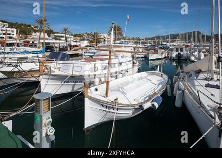 Fischerboote und Yachten im Hafen, Port d'Andratx, Region Serra de Tramuntana, Mallorca, Balearen, Spanien, Europa Stockfoto