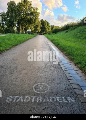 Ein Radweg in Form einer schmalen asphaltierten Straße verläuft entlang grüner Bäume und Wiesen in einem Naherholungsgebiet, Abendstimmung nach einem Regenschauer, Nordrhein-Westfalen Stockfoto