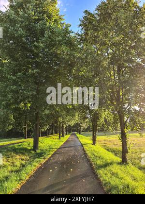 Radweg zwischen grünen Bäumen und Feldern in einem Naherholungsgebiet, abendliche Atmosphäre nach einem Regenschauer, Nordrhein-Westfalen, Deutschland Stockfoto