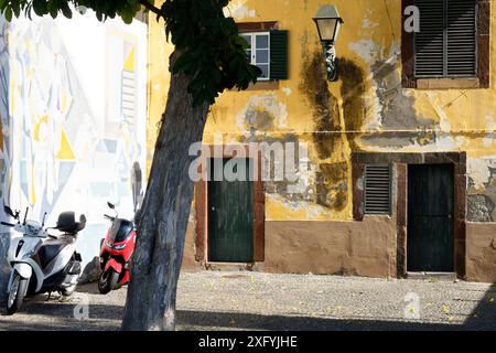 Altstadtallee in Funchal, Funchal, Ilha de Madeira, Atlantik, Insel Madeira, Portugal Stockfoto