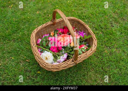 Ein Korbkorb mit bunten Blumen auf grünem Gras in einem Garten Stockfoto