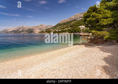 Punta Rata Strand in der Nähe von Brela, Kroatien, Europa Stockfoto