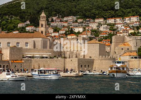 Stadtmauer und Dominikanerkloster in Dubrovnik, Kroatien, Europa Stockfoto