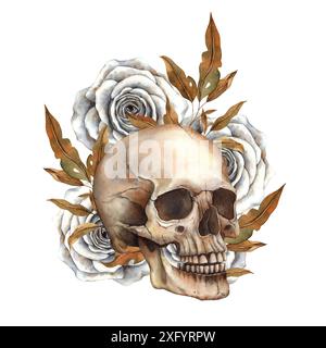 Menschlicher Schädel umgeben von weißen Rosen und Herbstblättern. Aquarellillustration in gotischem und realistischem Stil passend für Halloween Dekorationen, tat Stockfoto