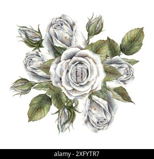 Zusammensetzung weißer Rosen mit grünen Blättern. Handgezeichnete Aquarellillustration im botanischen Stil. Für Design, Dekoration, Karten, Einladungen für Stockfoto