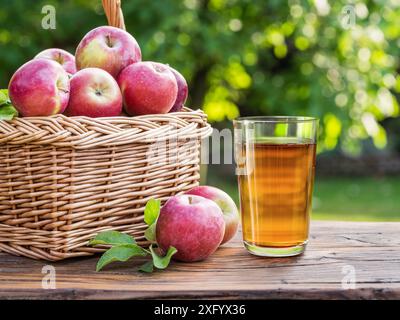 Glas frischen Apfelsaft oder Apfelwein und Korb mit Reifen Äpfeln auf Holztisch im Obstbaumbaum aus nächster Nähe. Stockfoto