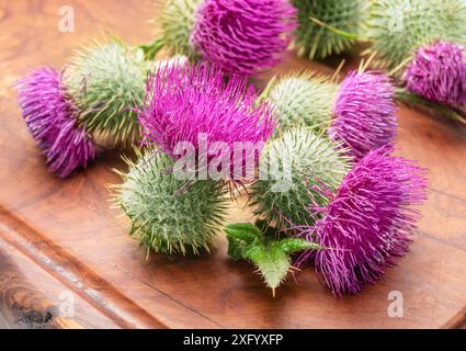 Mariendistel Blumenköpfe auf hölzernem Hintergrund. Stockfoto