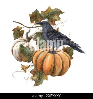 Orangefarbener und weißer Kürbis, schwarze Krähe, Kürbisblätter. Handgezeichnete botanische Aquarellillustration auf isoliertem Hintergrund. Zur Dekoration geeignet, ca. Stockfoto