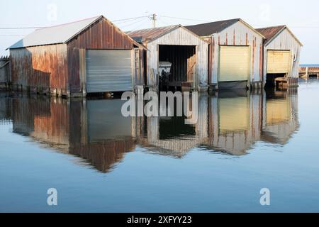 Bootshäuser am Eriesee Stockfoto