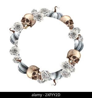 Schwarzer Kürbis, realistischer menschlicher Schädel und weiße Rosen. Handgezeichneter runder Rahmen in gotischem Stil auf isoliertem Hintergrund. Für Urlaub und Auto Stockfoto