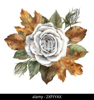 Weiße Rose mit grünen Blättern, herbstliche trockene Blätter. Handgezeichnete Aquarellillustration im botanischen Stil. Geeignet für Herbstdesign von Halloween und anderen Stockfoto