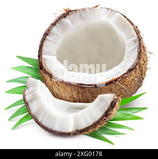 Gerissene Kokosfrucht mit Stück Kokos über grünen Blättern auf weißem Hintergrund. Stockfoto