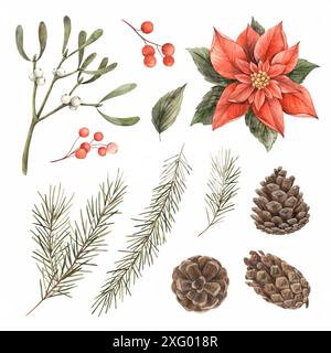 Sammlung von Weihnachtselementen, Weihnachtsstern, Mistel, Tannenzapfen, Beeren und Tannenzweigen. Isolierte Elemente in Aquarellfarben sind für Silvester geeignet Stockfoto