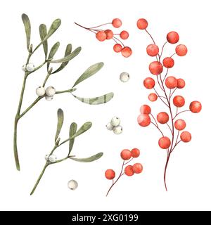 Sammlung weihnachtlicher botanischer Elemente, Mistel und rote Beeren. Isolierte Elemente mit Wasserfarben in realistischem Stil. Geeignet für Weihnachtskarten, Stockfoto
