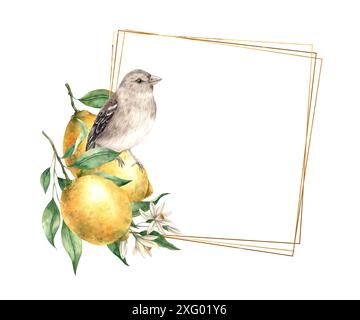 Gelbe Zitrone mit grünen Blättern und Blüten, brauner realistischer Vogel. Isolierter Aquarellrahmen im Vintage-Stil mit Gold. Hand gezeichnet für Karten, Hochzeit Stockfoto