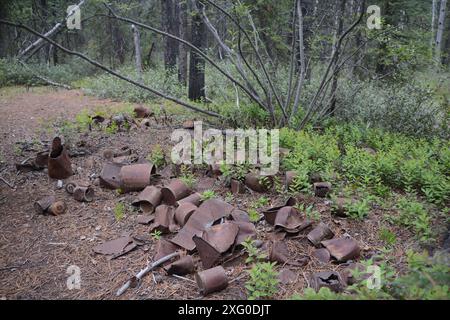 Ein Haufen alter verrosteter Blechdosen wird in einem verlassenen Gold Rush Bergbaulager am Miles Canyon in der Nähe von Whitehorse, Yukon, am Yukon River entsorgt. Stockfoto