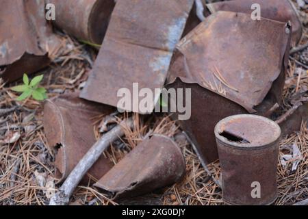 Ein Haufen alter verrosteter Blechdosen wird in einem verlassenen Gold Rush Bergbaulager am Miles Canyon in der Nähe von Whitehorse, Yukon, am Yukon River entsorgt. Stockfoto