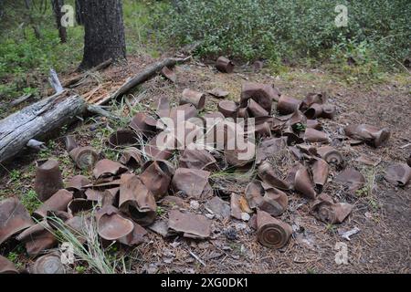 Ein Haufen alter verrosteter Blechdosen wird in einem verlassenen Gold Rush Bergbaulager am Miles Canyon in der Nähe von Whitehorse, Yukon, am Yukon River entsorgt. Stockfoto